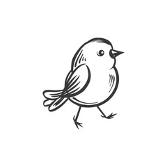 Fototapeta premium Hand drawn sketch of a small bird with a round body and short legs