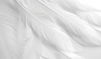 Obraz premium A close-up of white feathers forming a soft abstract background is ideal for advertising luxury bedding brands, elegant home decor focused on cleanliness, comfort and serenity,copy space