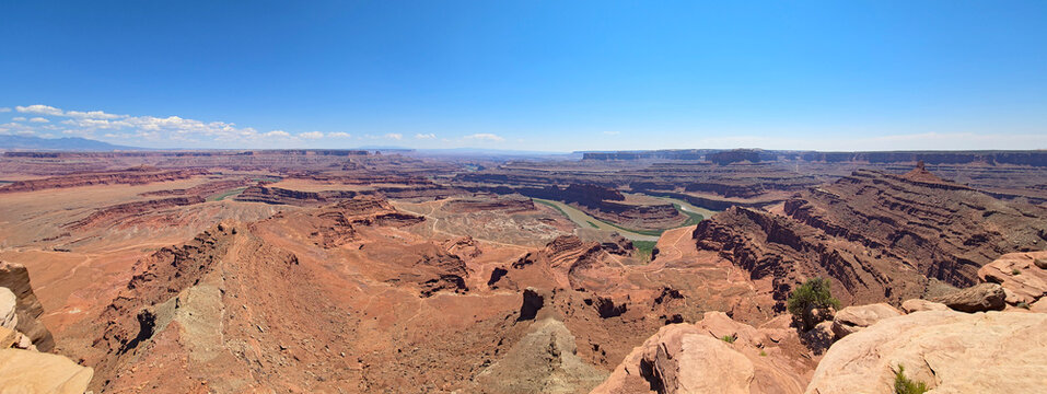 Panoramic view of Goose Neck, Colorado River and surrounding canyons from Dead Horse Point State Park near Moab, Utah under sunny summer cloudscape.. - Powered by Adobe