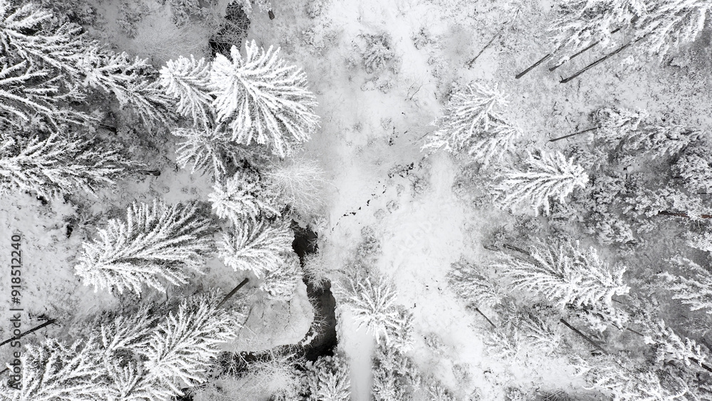 Poster aerial view of snow covered trees with stream.