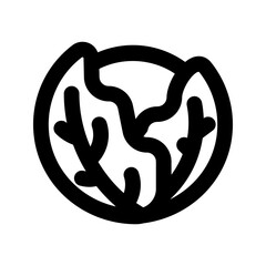 cabbage line icon
