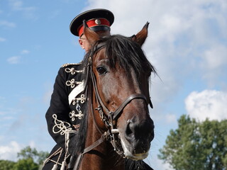 Officer-rider on horseback of the Russian Imperial Army of 1812 in a black tunic with gold inserts on a thoroughbred nester horse
