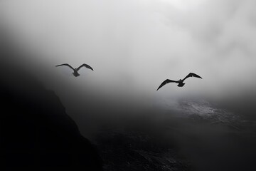 Two majestic birds soaring through a misty, monochromatic landscape.