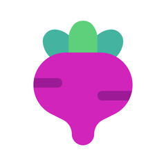 beetroot flat icon