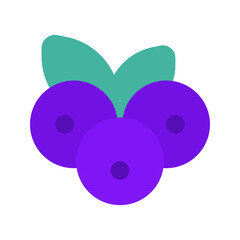 blueberry flat icon