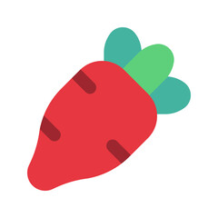 radish flat icon