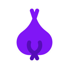 shallot flat icon