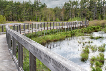 Long elevated boardwalk and observation platform over marsh and wetlands at Alice Bemis Thompson Wildlife Sanctuary in North Sandwich, New Hampshire.