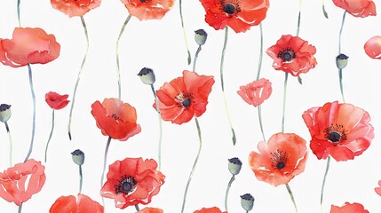  Red poppies watercolor painting on white background with black center