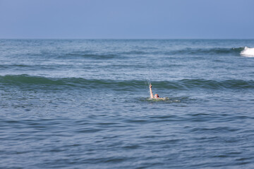 Naklejka premium Woman swimming on backstroke in the Caribbean Sea in Cartagena, Colombia