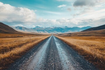 Fototapeta premium Expansive dirt road lined by golden fields under a cloudy blue sky.