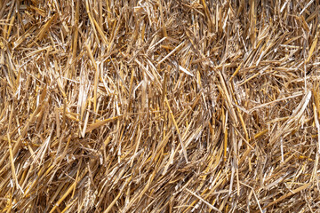 Straw texture