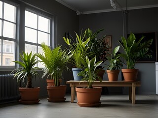 Fototapeta premium Stylish composition of home garden interior filled a lot of beautiful plants, cacti, succulents, air plant in different design pots.