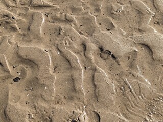 Wellenmuster im Sand - Watt