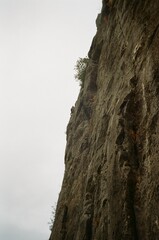 Climbers in Valencia, Spain, 2024, film photograph