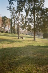 Zaragoza, Spain, 2024, film photograph