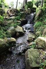 Fototapeta premium The flow of water in the waterway of a natural park. Background material of water movement.