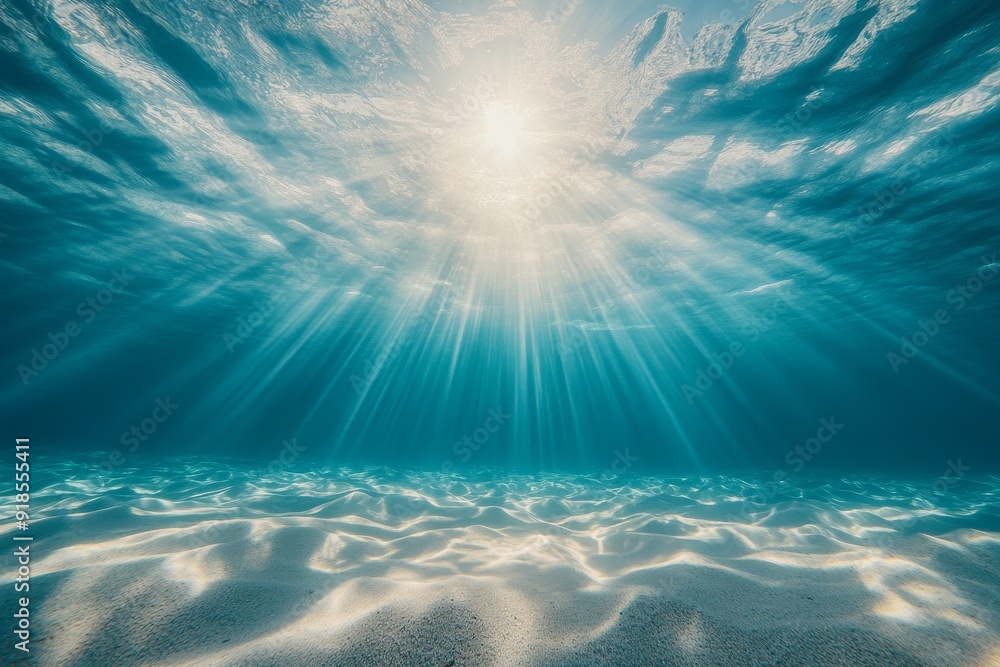 Poster sunlight streams down into the clear blue ocean, illuminating the underwater landscape and creating 