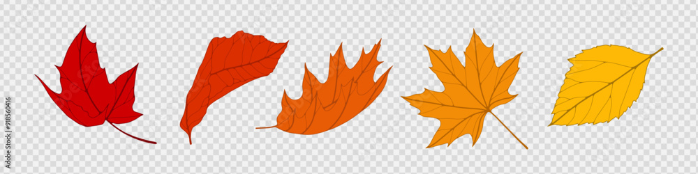 Wall mural autumn falling leaves isolated on transparent background. vector illustration.