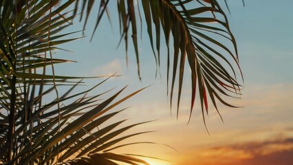 Close up of sunset with palm trees and colorful sky in the background