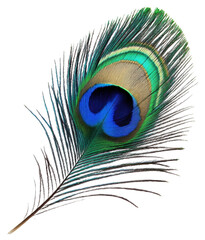 Vibrant peacock feather with intricate patterns, cut out - stock png. © Mr. Stocker