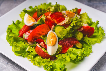 Tomato, cucumber, pepper and lettuce salad with boiled eggs on a white square plate on a gray background.