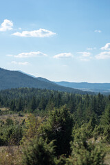 landscape of green field in the mountains on a sunny day
