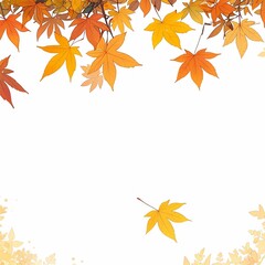 Colorful background of autumn maple tree leaves background with white empty space for text. Multicolor maple leaves autumn background. 