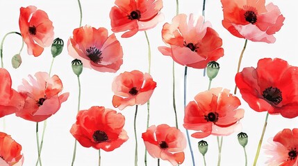 Obraz premium Close-up of red flowers on white background with green center