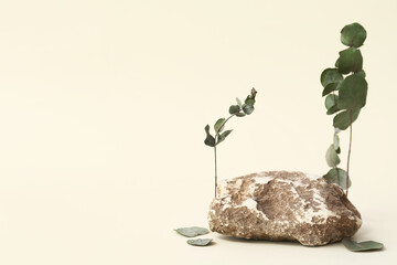 Decorative stone podium with eucalyptus on white background
