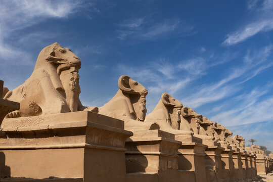 Sphinxes with Ram heads at the entrance of Temple Amun Karnak .Luxor . Egypt .