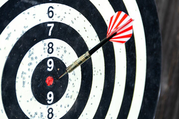 Dartboard against old tree background. Two darts hit the target of a dart board. Bad shots on...