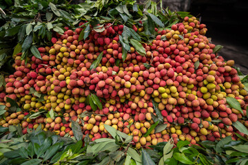 Ripe lychees, ready for sale at the market. Vibrant colors and juicy sweetness of this tropical delight, straight from the orchard to your table. Lychee, Litchi, Lichee, fruit