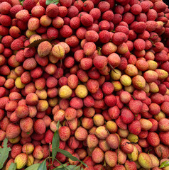 Ripe lychees, ready for sale at the market. Vibrant colors and juicy sweetness of this tropical delight, straight from the orchard to your table. Lychee, Litchi, Lichee, fruit