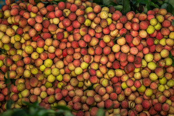 Ripe lychees, ready for sale at the market. Vibrant colors and juicy sweetness of this tropical delight, straight from the orchard to your table. Lychee, Litchi, Lichee, fruit