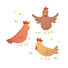  set of Rooster, Rooster animal cartoon illustration for children, cute cartoon character