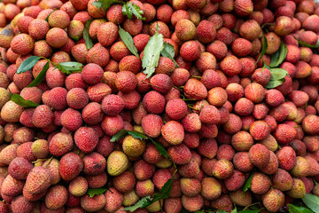 Ripe lychees, ready for sale at the market. Vibrant colors and juicy sweetness of this tropical delight, straight from the orchard to your table. Lychee, Litchi, Lichee, fruit