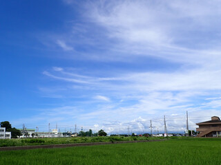 田んぼのある風景