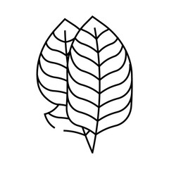 leaf banana plant line icon vector. leaf banana plant sign. isolated contour symbol black illustration