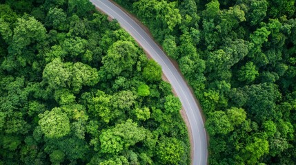 An aerial view of a winding road cutting through a dense forest with lush green trees.