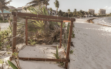 Sea turtle nests in cages protected on the beach Mexico.