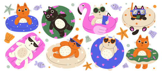 Cute summer cats in inflatable swimming rings floating inside pool enjoying vacation time on resort © Mykola Syvak