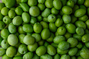 Lots of olive fruit just harvested