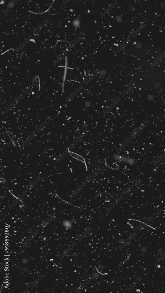 Poster realistic dust particles on dark background. abstract animation. white and glow dust particle abstra