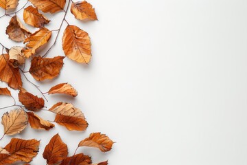 A collection of brown leaves scattered on a white surface, great for backgrounds or nature-inspired designs