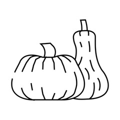 pumpkins ripe line icon vector. pumpkins ripe sign. isolated contour symbol black illustration
