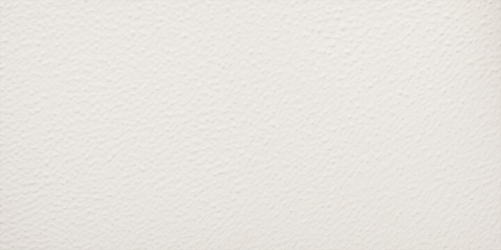 Light eggshell texture. Close up background with natural noise and scratches