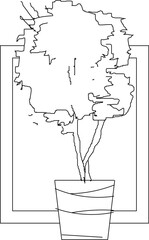 Vector sketch illustration silhouette design detail floral interior decoration plant in pot in box frame