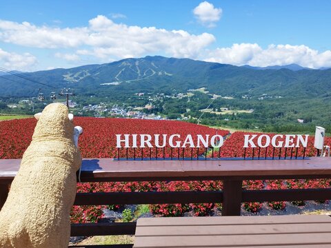 ひるがのピクニックガーデンの風鈴（岐阜：郡上）