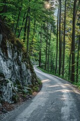 Obraz premium A narrow path winds through dense foliage